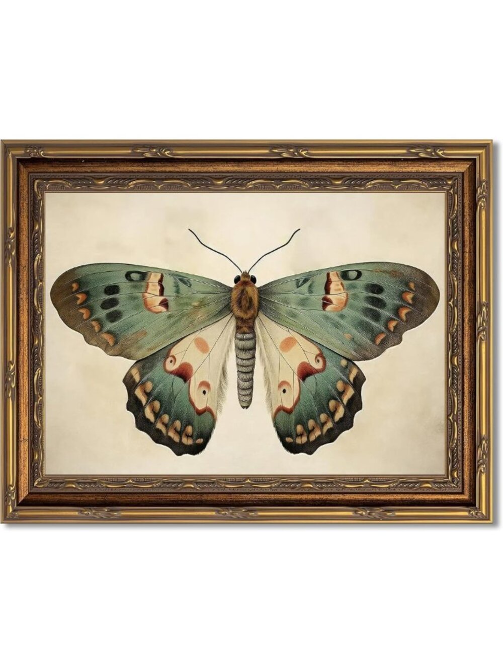Vintage Gold Framed Butterfly Canvas Wall Art | Retro Insect Decor 9x11 Inch